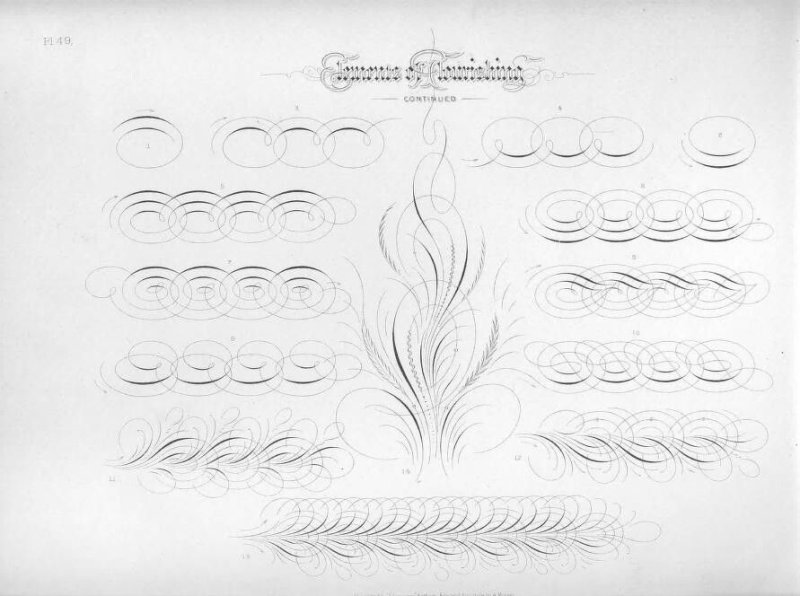 Спенсериан и копперплейт