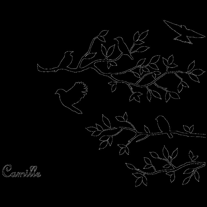 Трафареты птиц для декора