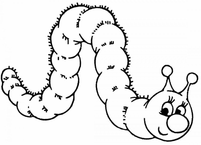 Гусеничка раскраска