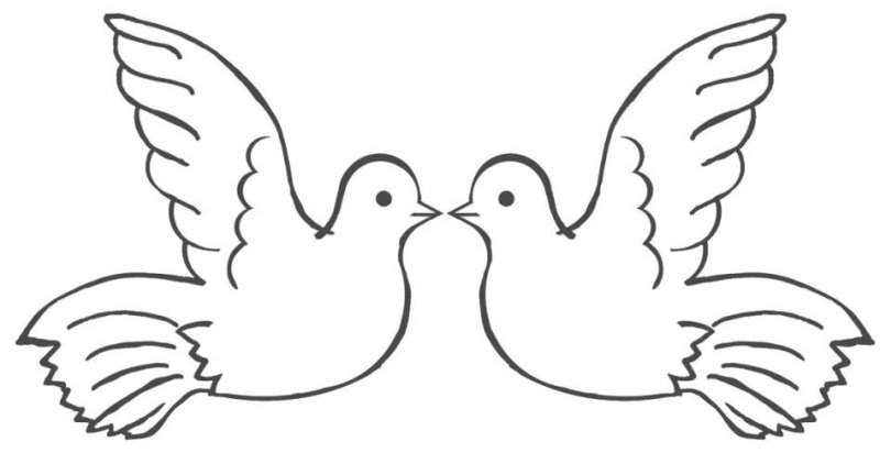 Голубь мира шаблон