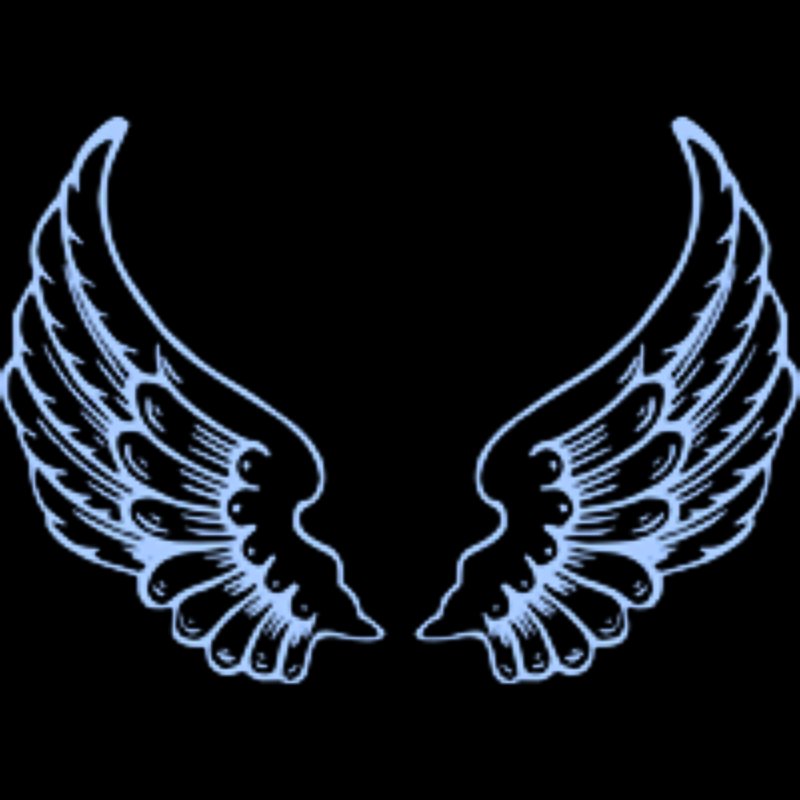 Крылья трафарет