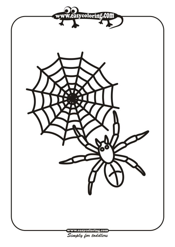 Паук раскраска