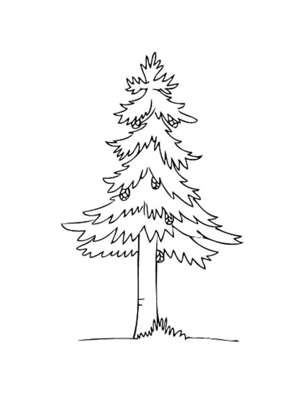 Ель раскраска
