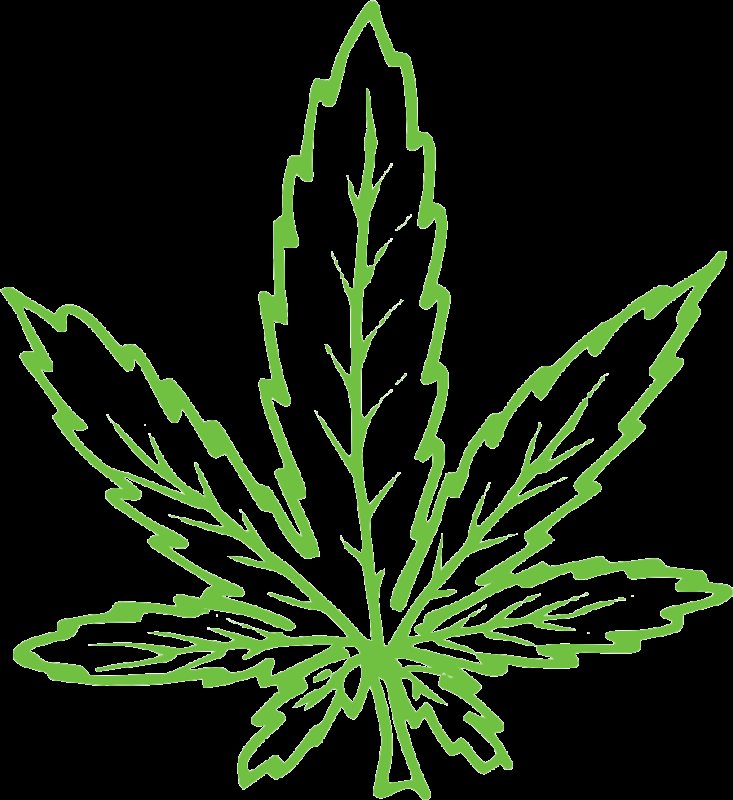 Лист конопли рисунок