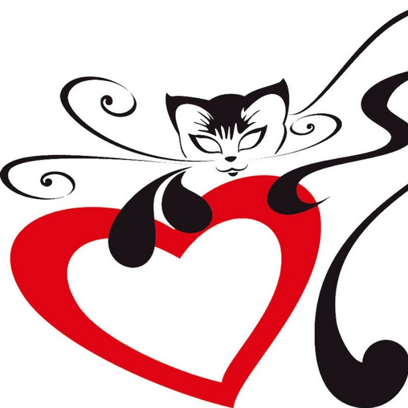 Кошка с сердечком