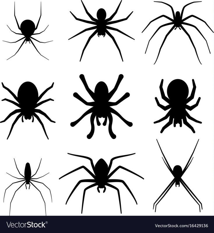 Паук для вырезания