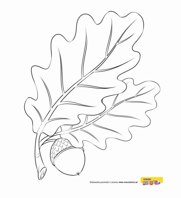 Дубовый лист трафарет для вырезания