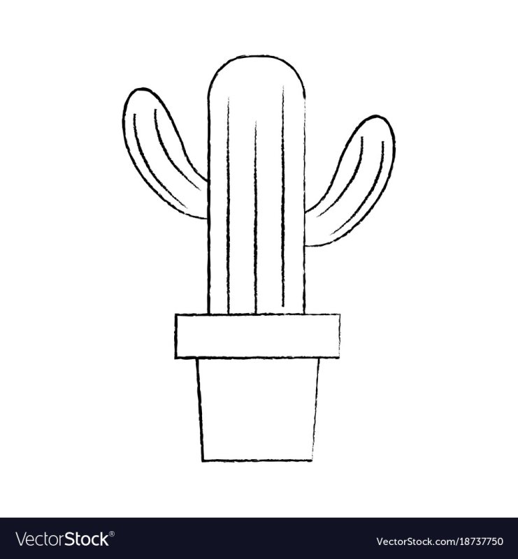 Кактус раскраска