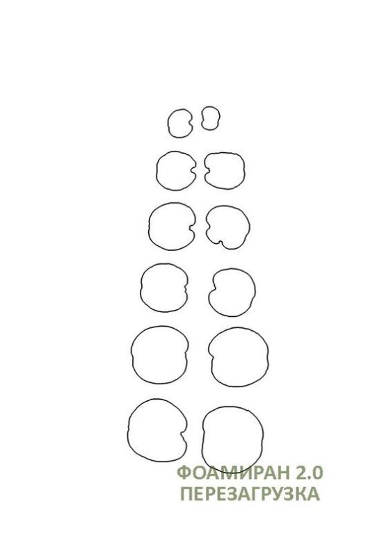 Трафарет листа эвкалипта