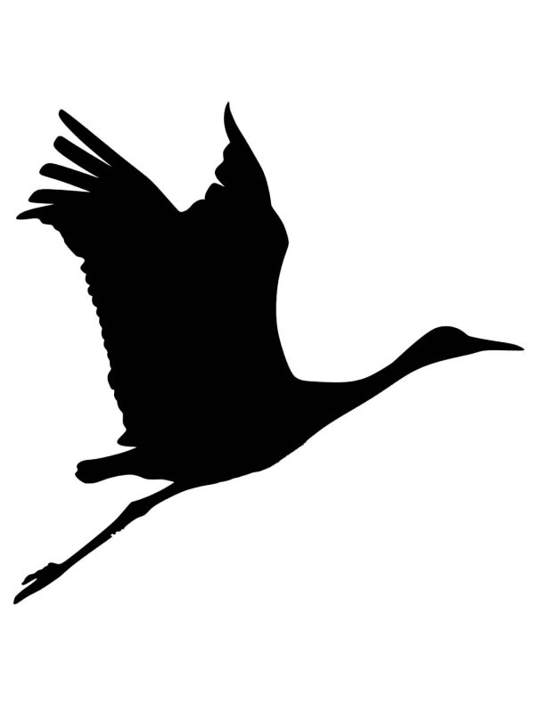 Трафарет птицы для вырезания