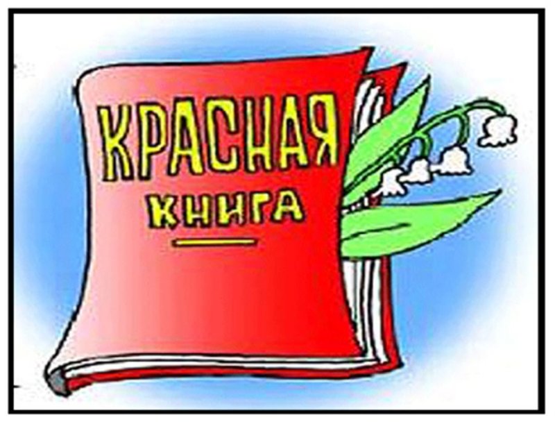 Красная книга рисунок