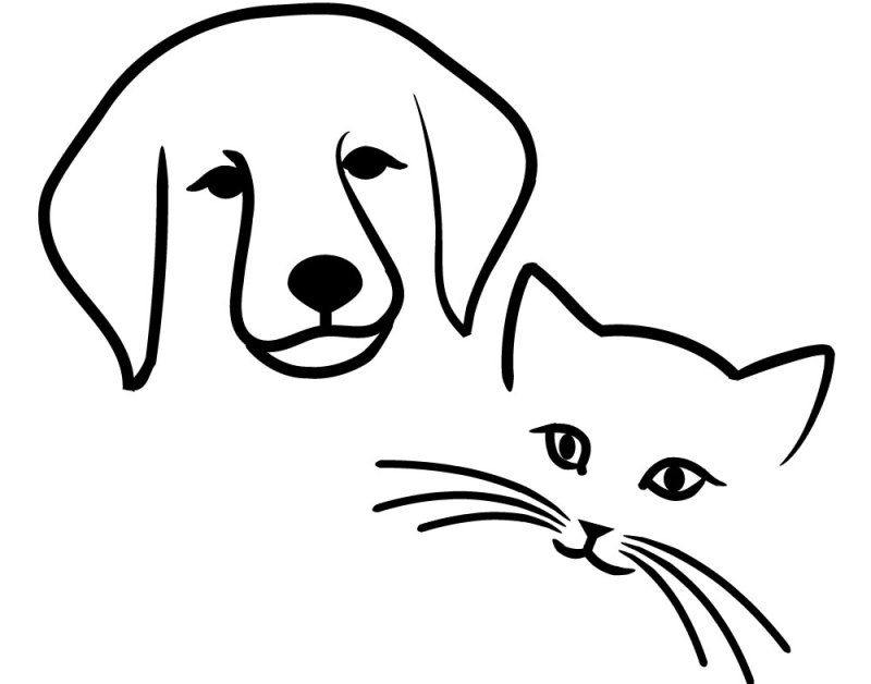 Собака векторный рисунок