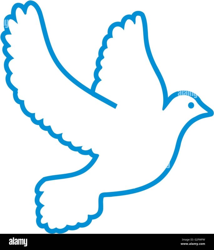 Голубь мира