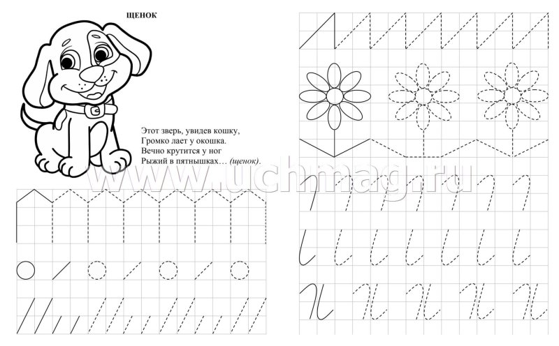 Прописи для дошкольников 5-6 лет задания
