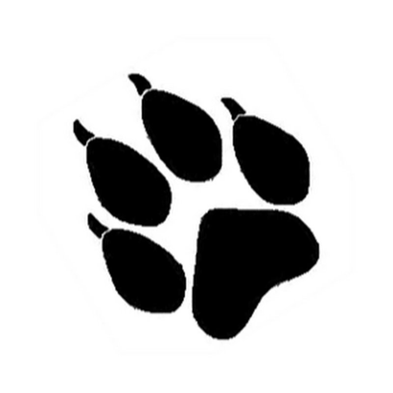 Отпечаток лапы тигра