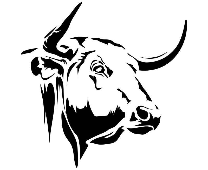 Бык рисунок