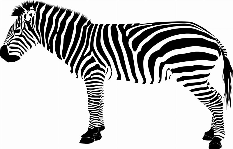 Зебра театр теней