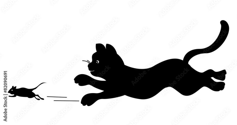Кошка бежит за мышкой