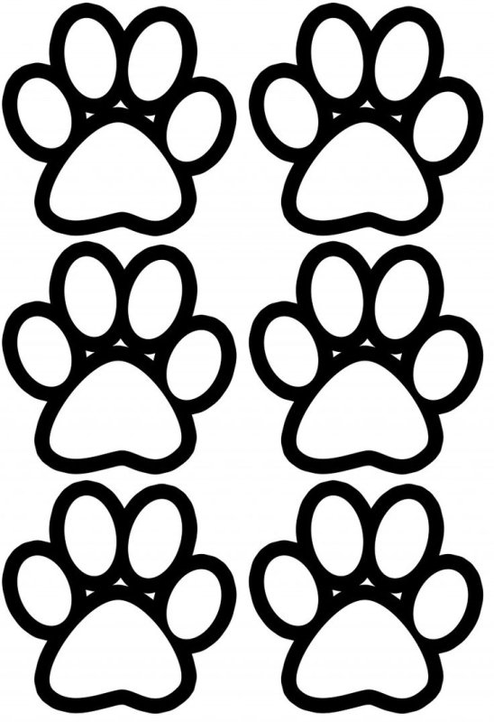 Следы лапок Щенячий патруль