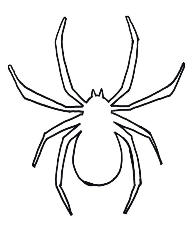 Трафарет паука на Хэллоуин