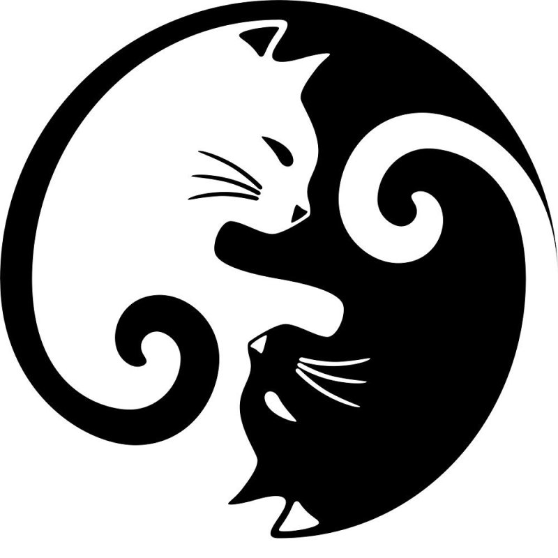 Тату коты Инь Янь