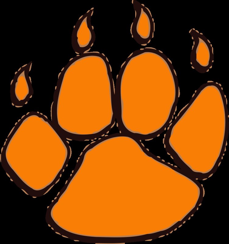 Отпечаток лапы тигра