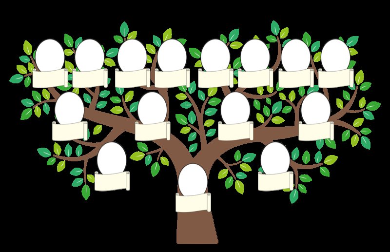 Семейное дерево шаблон