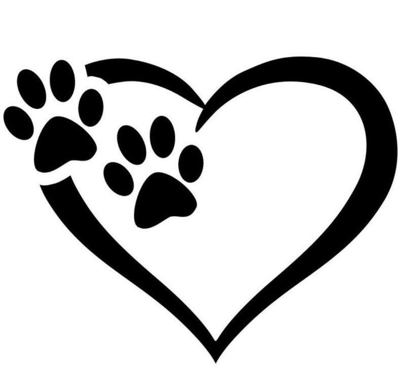 Кошачья лапка с сердечком