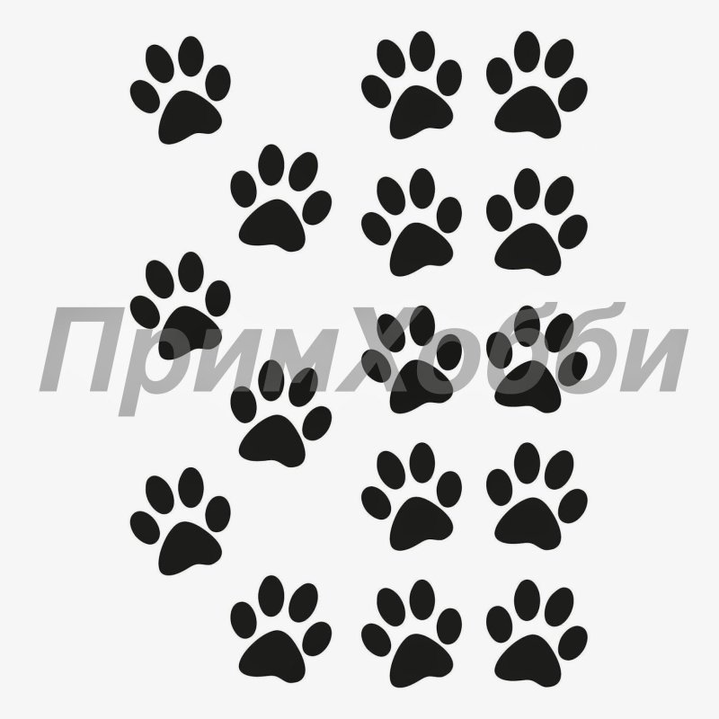 Отпечаток лапы кошки