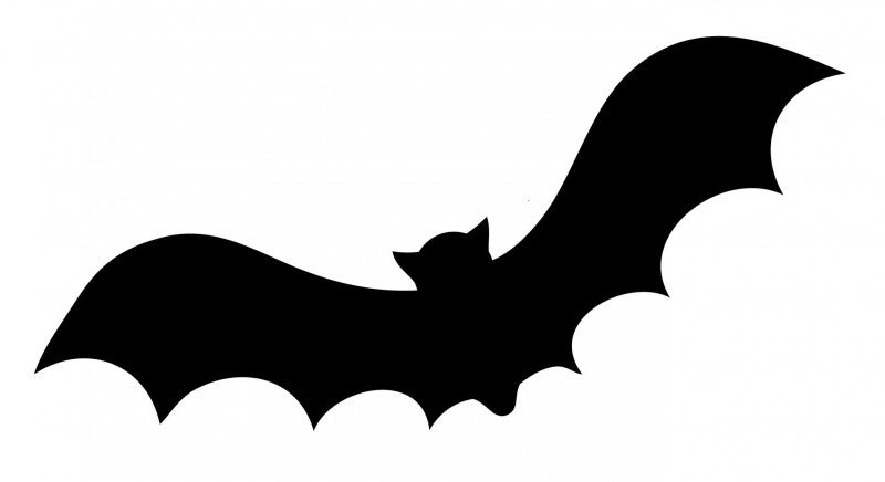 Летучие мыши на Хэллоуин
