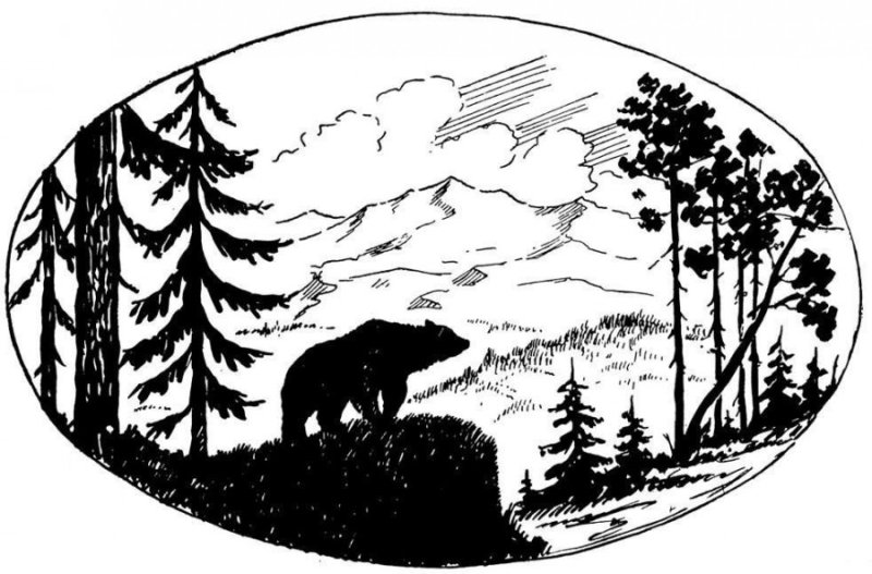 Выжигание природа