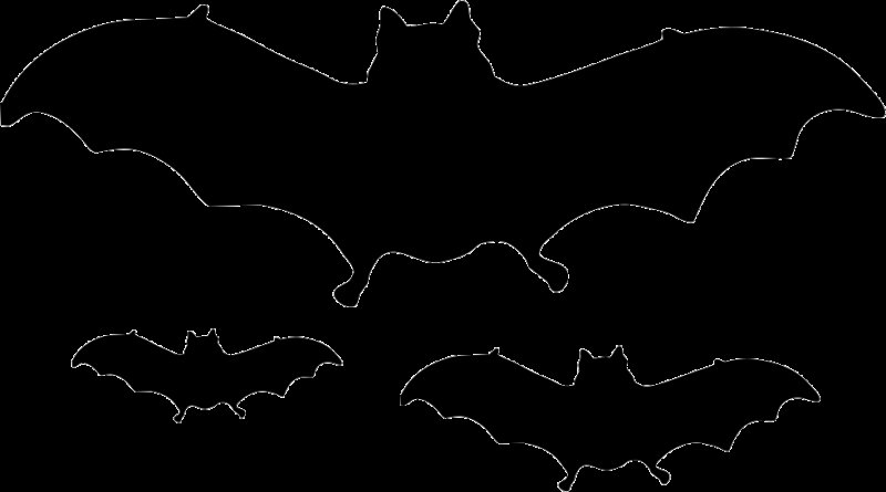 Летучие мыши на Хэллоуин