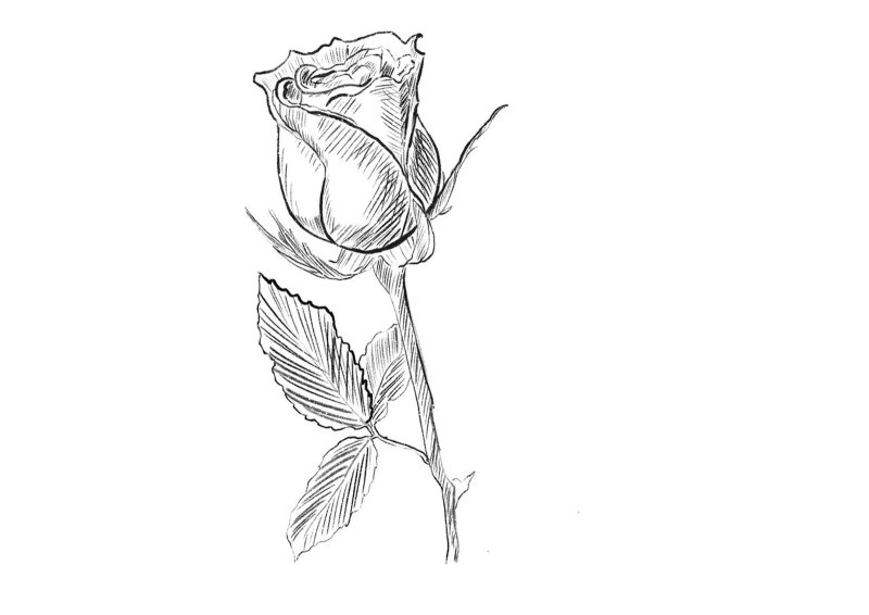 Легкие скетчи