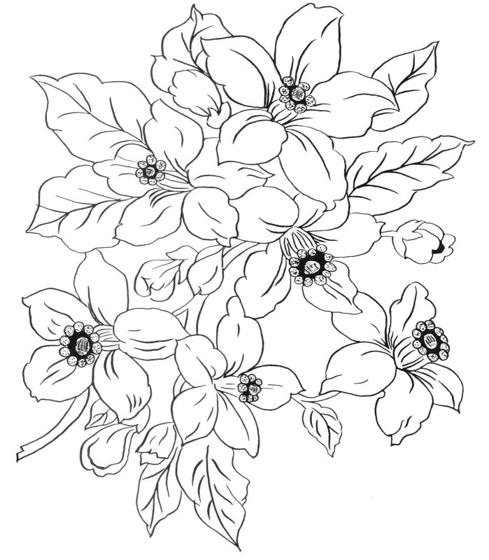 Красивые рисунки цветов