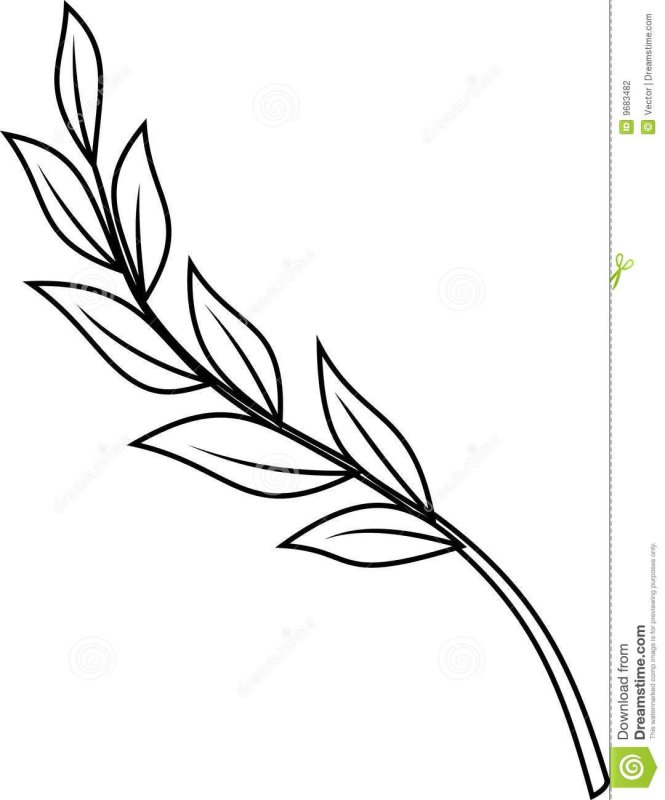 Веточка контур