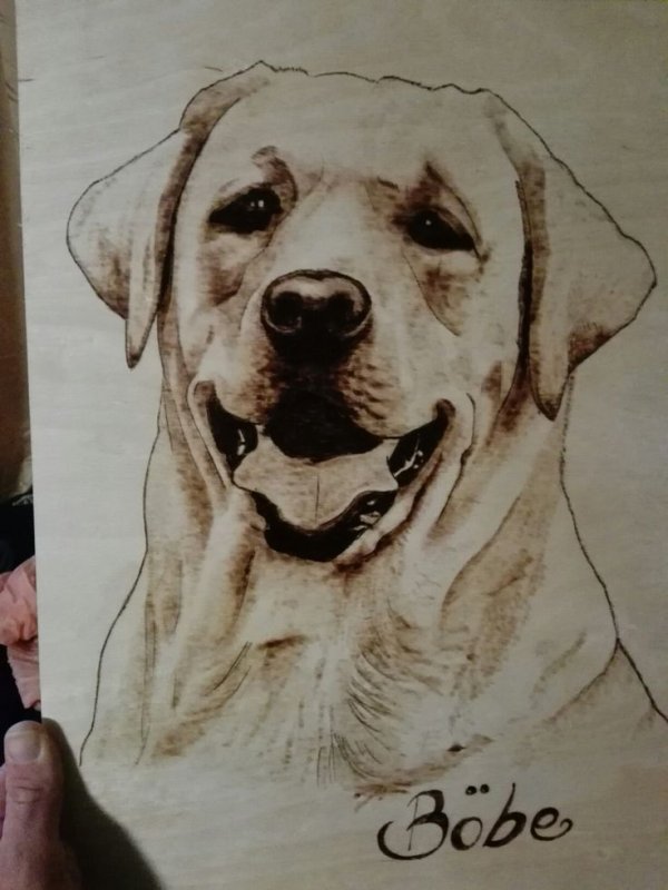 Лабрадор для выжигания