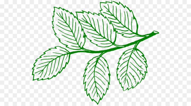 Лист контур