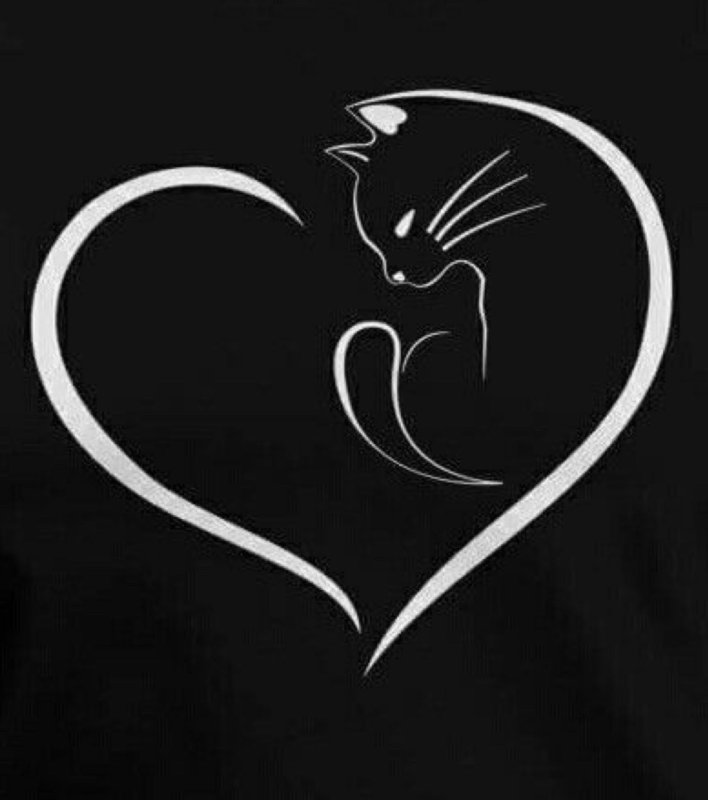 Тату кошка контурная