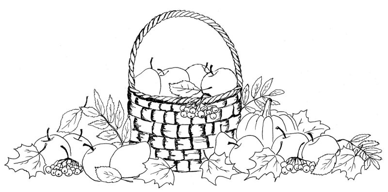 Корзинка с овощами раскраска