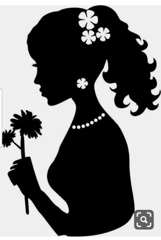 Силуэт дамы