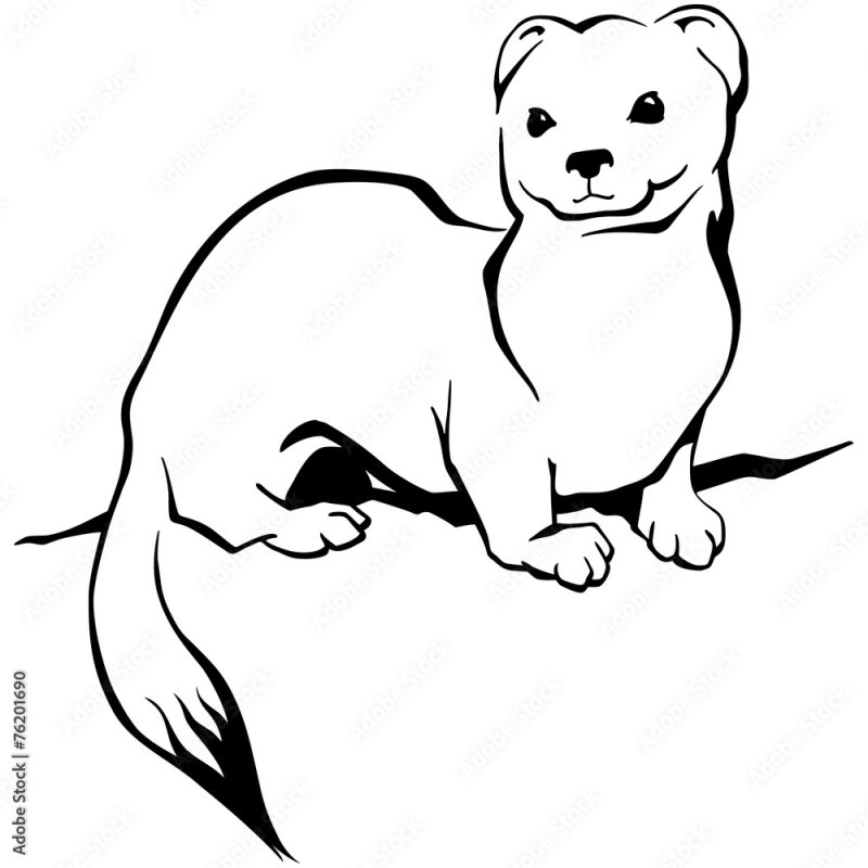 Соболь силуэт