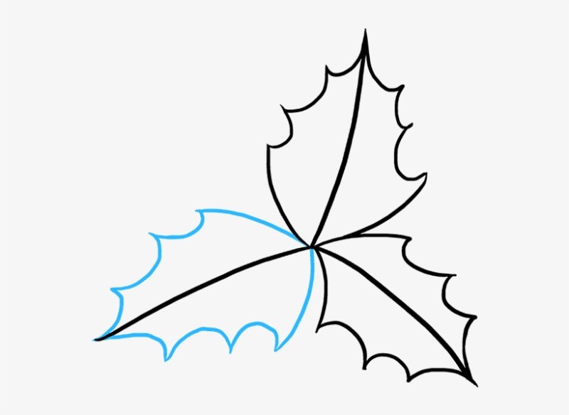 Трафареты листьев падуба