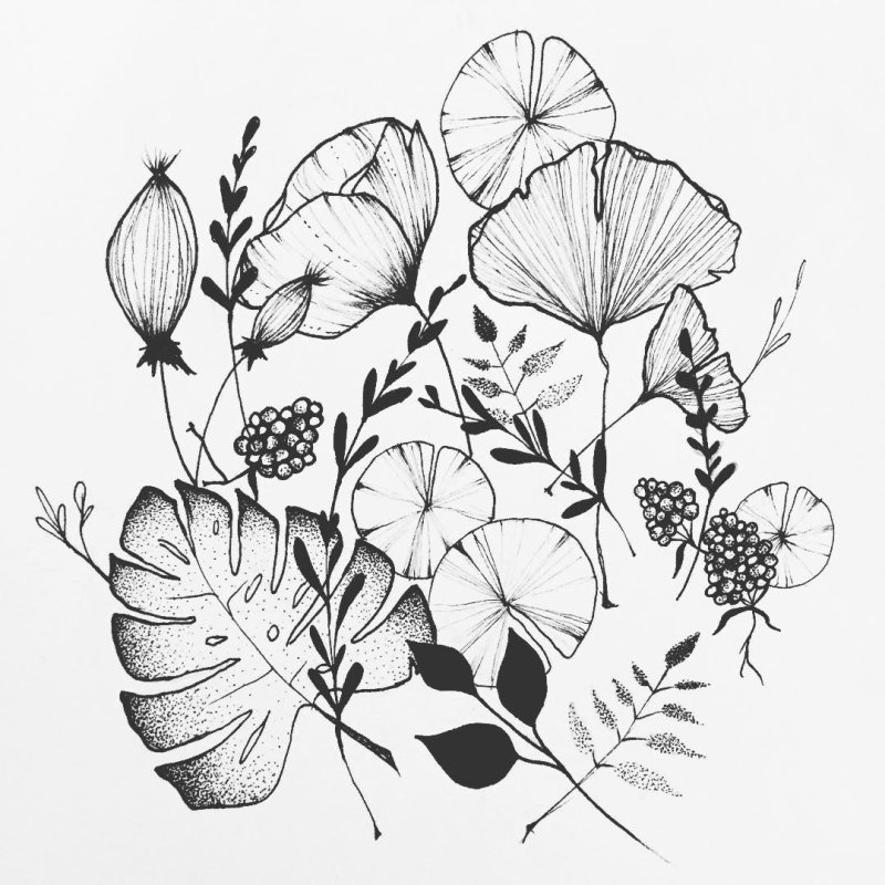 Ботанический скетч линером