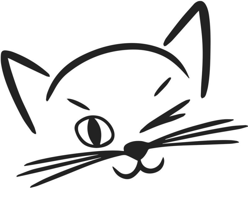 Мордочка котика рисунок