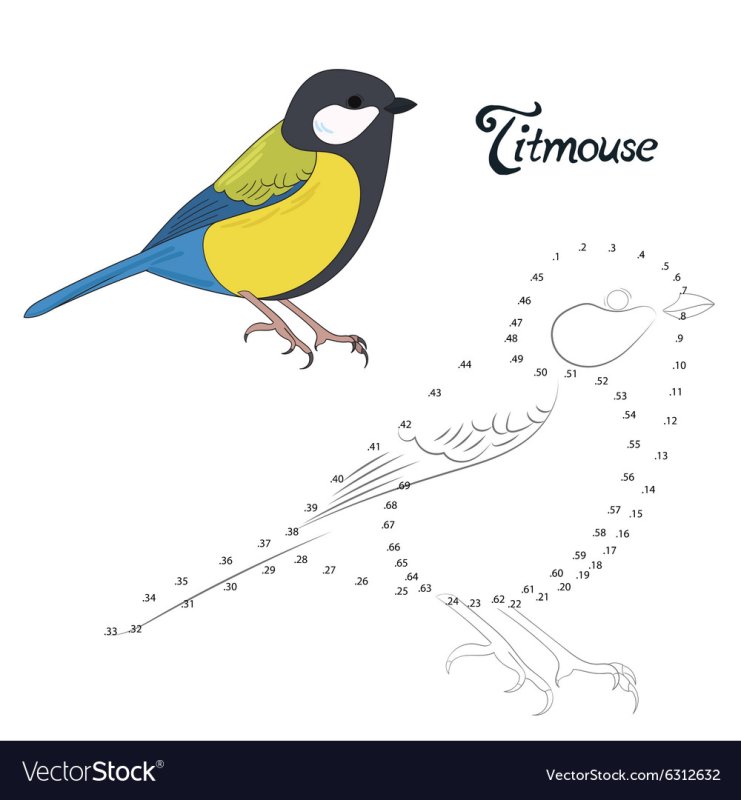 Синица раскраска для детей