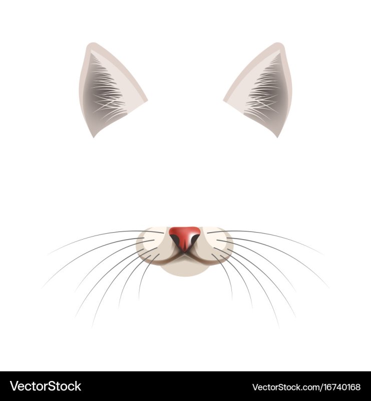 Кошачьи ушки и носик маска