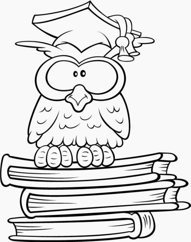 Раскраска Сова