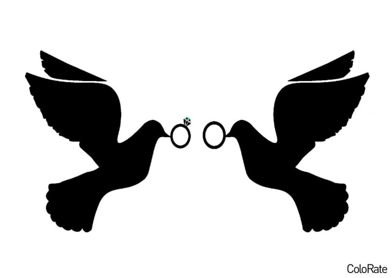 Голубки вектор