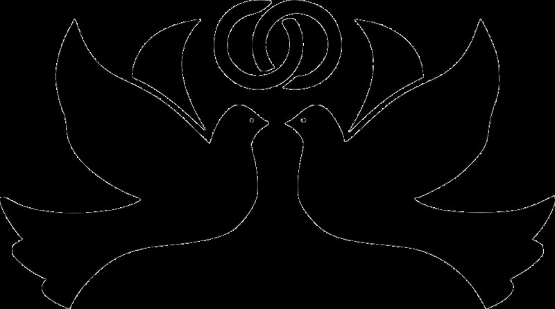 Трафарет птицы