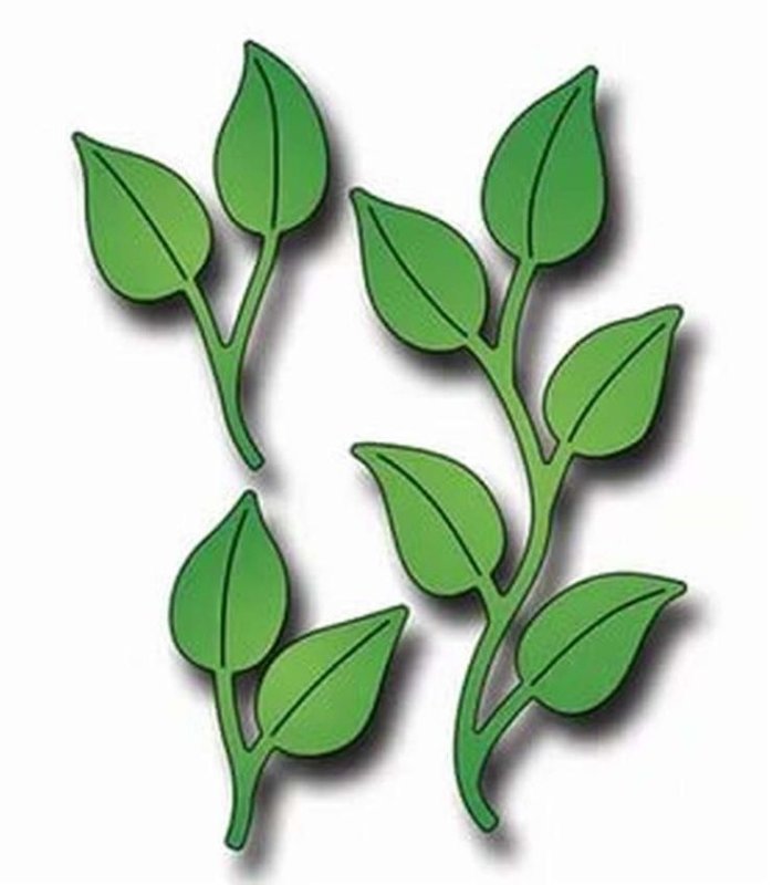 Листики цветов